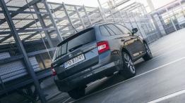 Skoda Fabia Combi 1,2 TSI Edition 1.2 TSI 110 KM - galeria redakcyjna - widok z tyłu