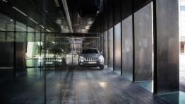 Jeep Cherokee KL (2014) Trailhawk - wersja europejska - widok z przodu