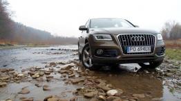 Audi Q5 SUV Facelifting 2.0 TDI 177KM - galeria redakcyjna - widok z przodu
