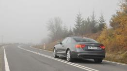 Audi A5 Coupe Facelifting 2.0 TDI 177KM - galeria redakcyjna - widok z tyłu