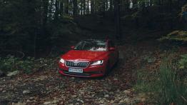Skoda Superb Laurin&Klement 2.0 TSI 280 KM - galeria redakcyjna - widok z przodu