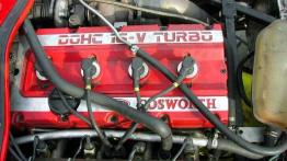 Nie drażnij Tygrysa!