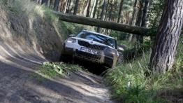 Dekada troski o kierowców - Skoda