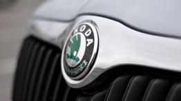 Skoda Superb II Kombi 2.0 TDI CR DPF 170KM - galeria redakcyjna - logo