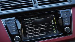 Skoda Fabia III FL - galeria redakcyjna