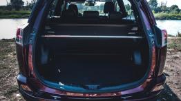 Toyota RAV4 Hybrid - galeria redakcyjna