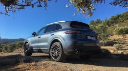 Porsche Cayenne - galeria redakcyjna 