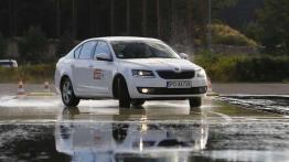 Dekada troski o kierowców - Skoda