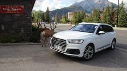 Audi Q7 II (2015) - galeria redakcyjna - widok z przodu