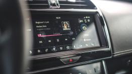 Jaguar XE - galeria redakcyjna - pe?ny panel przedni