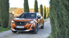 Peugeot 2008 II - galeria redakcyjna - widok z przodu