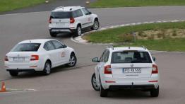 Dekada troski o kierowców - Skoda