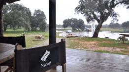 Bridgestone Adrenalin RE002 - opona dla miejskiego sportowca