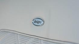 Mercedes GLE - galeria redakcyjna - fotel kierowcy, widok z przodu