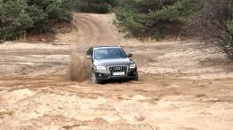 Audi Q5 SUV Facelifting 2.0 TDI 177KM - galeria redakcyjna - widok z przodu