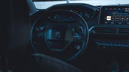 Peugeot 3008 - galeria redakcyjna