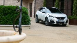 Peugeot 3008 – galeria redakcyjna