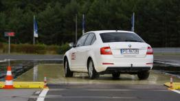 Dekada troski o kierowców - Skoda