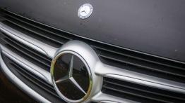 Mercedes-Benz Klasy V - nie tylko dla prezesa