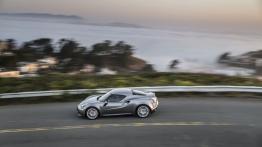 Alfa Romeo 4C (2015) - wersja amerykańska - widok z góry