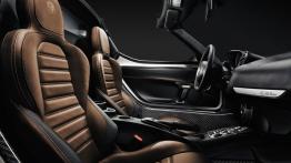 Alfa Romeo 4C Spider (2015) - wersja europejska - widok ogólny wnętrza z przodu