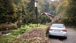 Skoda Superb Laurin & Klement 2.0 TDI 150 KM - galeria redakcyjna - widok z tyłu