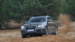 Audi Q5 SUV Facelifting 2.0 TDI 177KM - galeria redakcyjna - widok z przodu