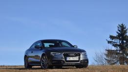 Audi A5 Coupe Facelifting 2.0 TDI 177KM - galeria redakcyjna - widok z przodu