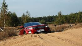 Range Rover Evoque - galeria redakcyjna - widok z przodu