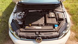 Volkswagen Golf Alltrack 2.0 TDI 184 KM - galeria redakcyjna - inny podzespół mechaniczny