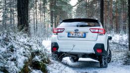 Subaru XV - galeria redakcyjna - widok z tyłu