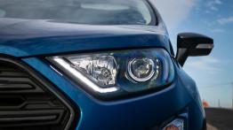 Ford Ecosport – dzika karta