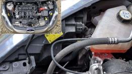 Ford Fiesta - z kaczki w łabędzia