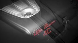 Alfa Romeo 4C (2015) - wersja amerykańska - pokrywa silnika - widok z góry