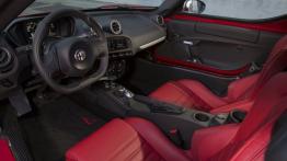 Alfa Romeo 4C (2015) - wersja amerykańska - pełny panel przedni