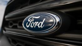 Ford Ecosport – dzika karta