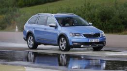 Dekada troski o kierowców - Skoda