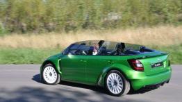 Pięć smaków i wisienka - Skoda