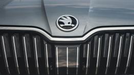 Skoda Superb 1.4 TSI 150 KM - galeria redakcyjna - grill