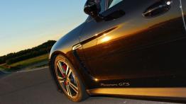 Porsche Panamera Limuzyna 4.8 V8 430KM - galeria redakcyjna - bok - inne ujęcie