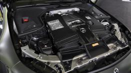 Mercedes-AMG GT 4Door Coupe 63 S 4Matic+ - galeria redakcyjna - silnik solo