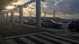 Porsche Cayenne - galeria redakcyjna 