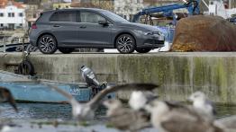 Ponadczasowy samochód, który nieustannie ewoluuje - jaka jest ósma generacja Golfa? 