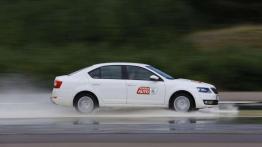 Dekada troski o kierowców - Skoda