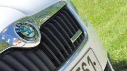 Pięć smaków i wisienka - Skoda