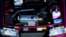 Skoda Felicia - silnik