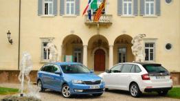 Skoda Rapid II Spaceback - galeria redakcyjna - inne zdjęcie