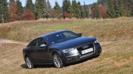 Audi A5 Coupe Facelifting 2.0 TDI 177KM - galeria redakcyjna - widok z przodu