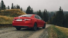 Skoda Superb Laurin&Klement 2.0 TSI 280 KM - galeria redakcyjna - widok z tyłu