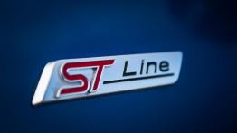 Ford Ecosport – dzika karta